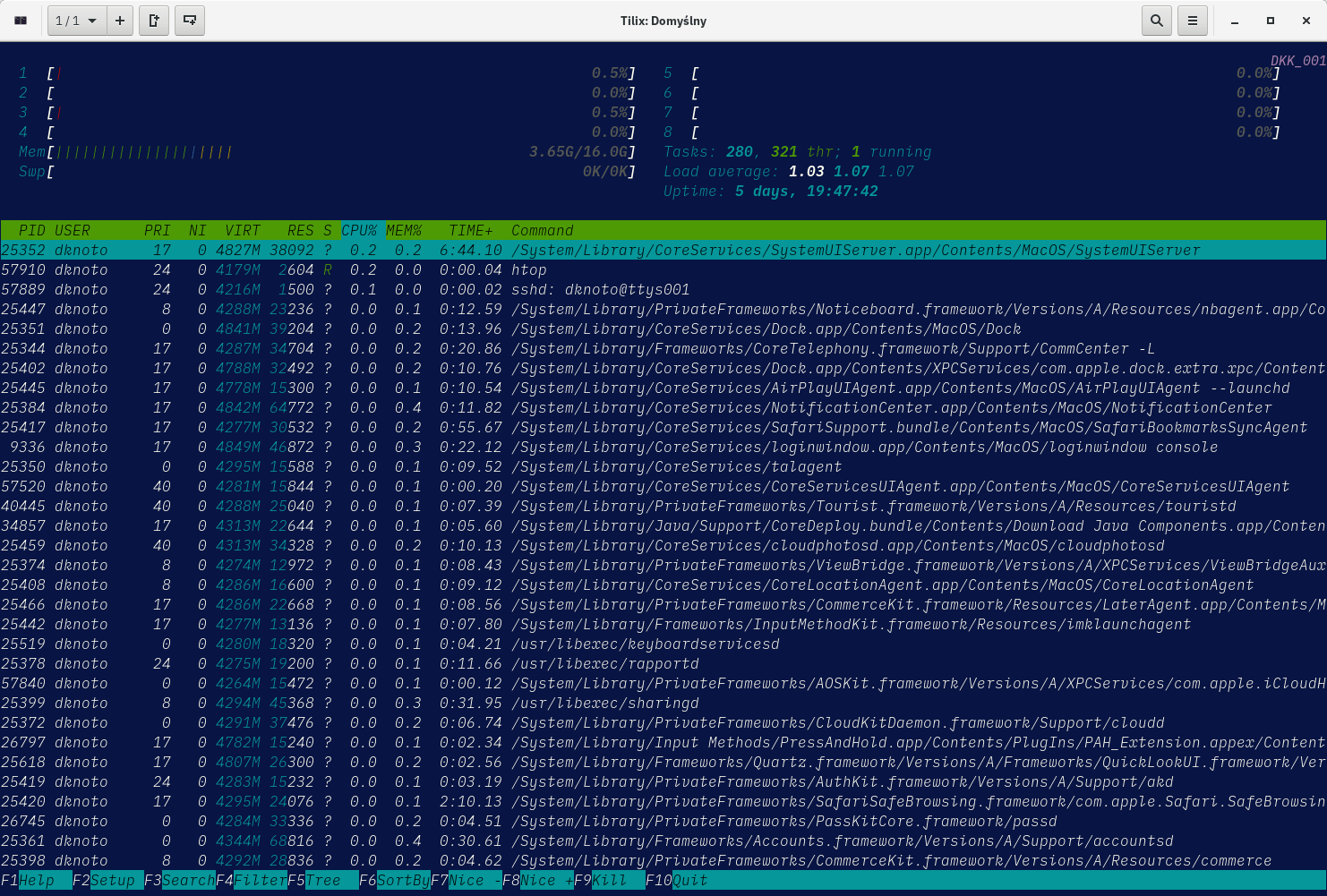 macOS-htop-2019-07-01-Optim.png