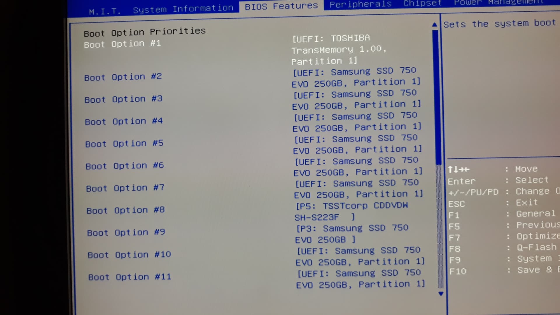 66283605_340888393470301_8701330272538329088_n.jpg