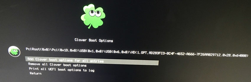 add clover boot options for all entries.jpg