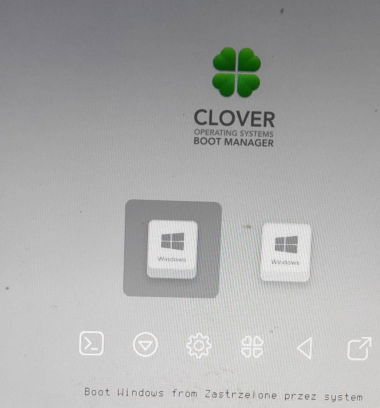 clover.jpg