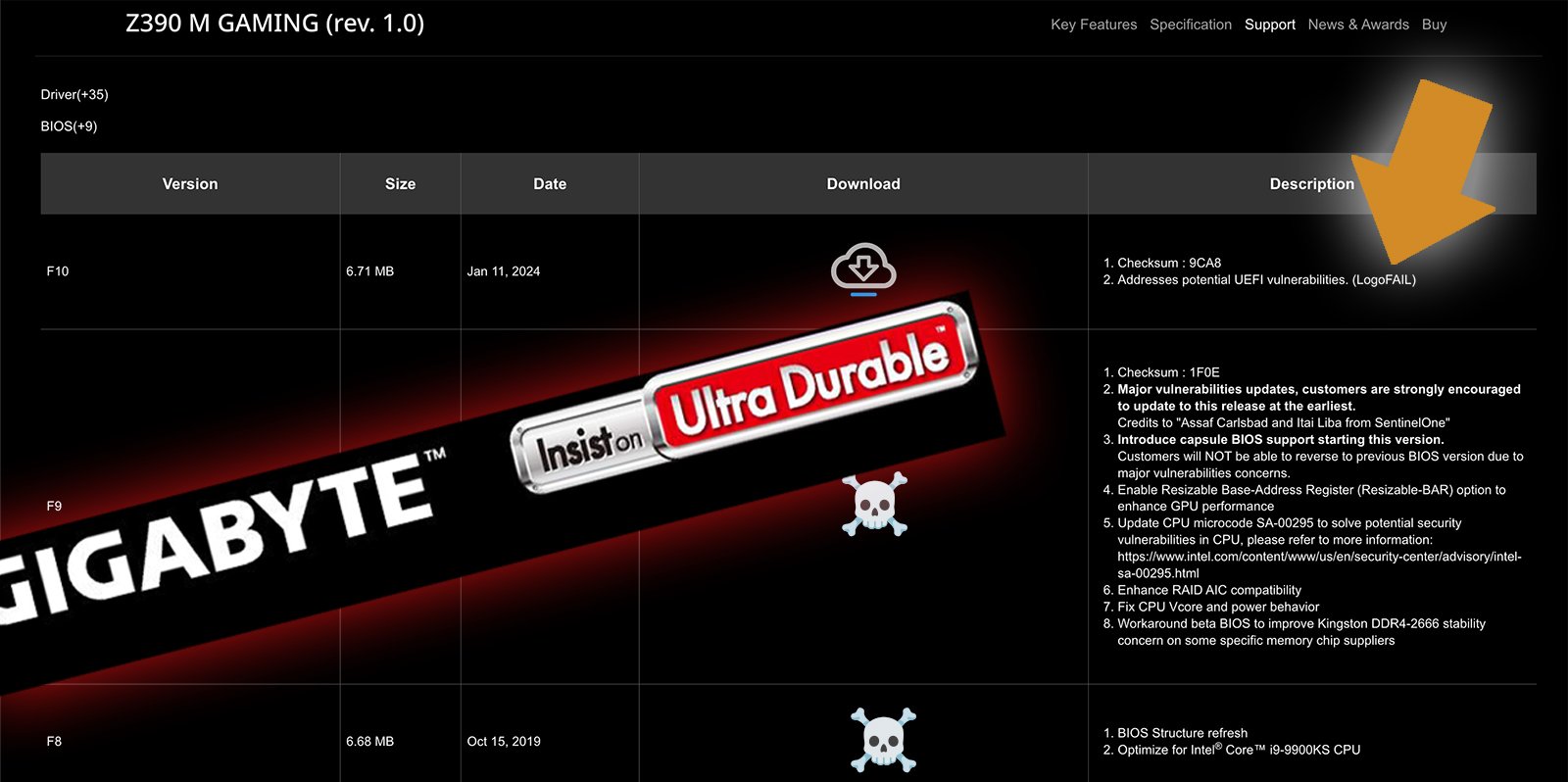 BIOSFupdate10